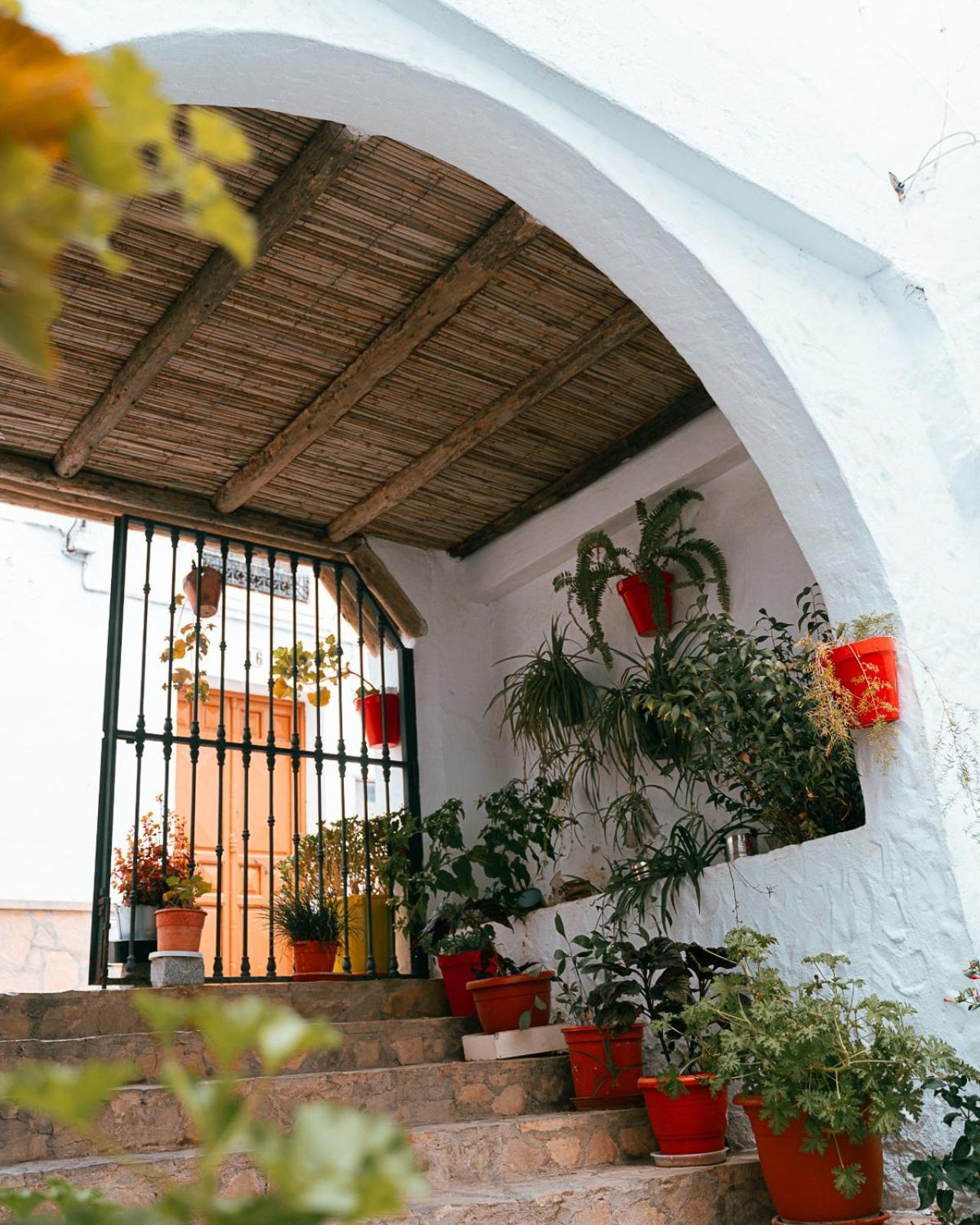 Apartamento Salati El Gastor Exterior foto